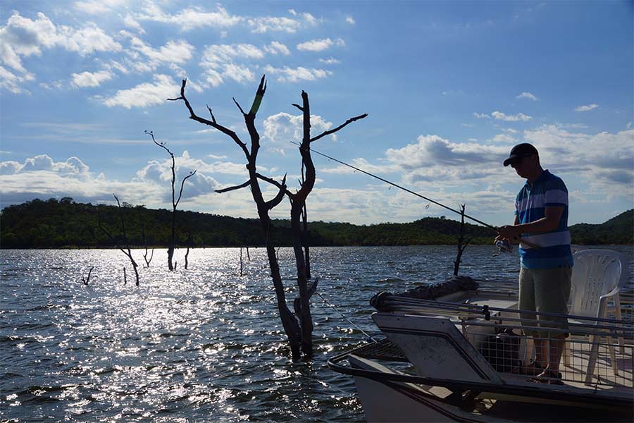 Top 2 Lake Kariba Fish Species Bream And Tiger Fish Top 2 Lake Kariba Fish Species Bream And Tiger Fish